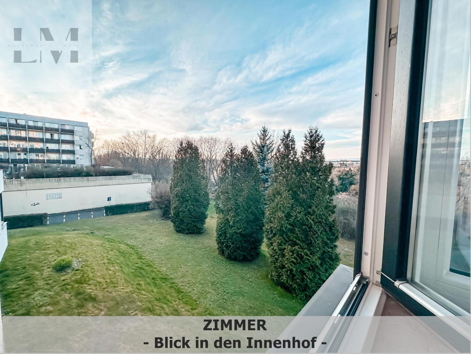 Lm-Apartmentsmainz-01 Zewnętrze zdjęcie